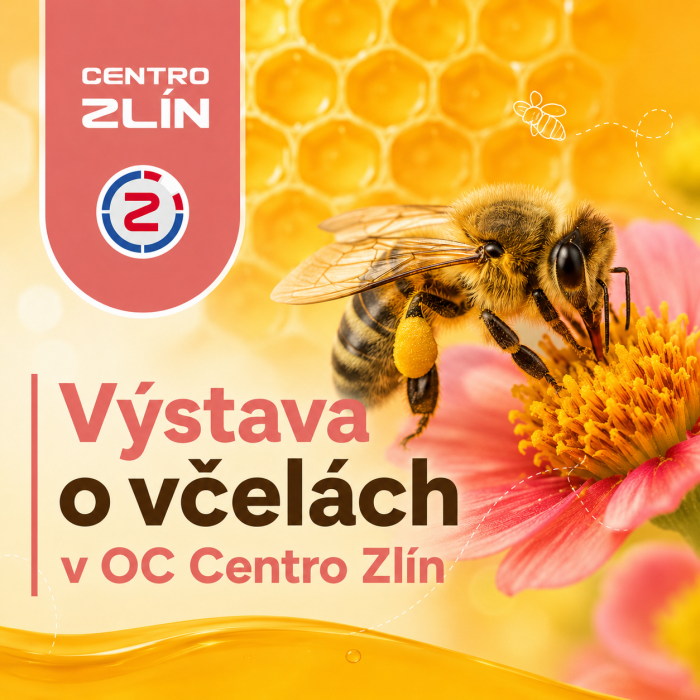 Včely našly domov u OC Centro Zlín